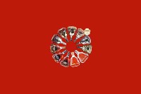 东莞石碣镇回收红酒